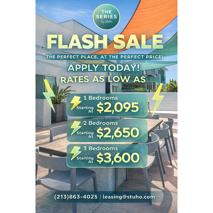 Flash Sale The Series